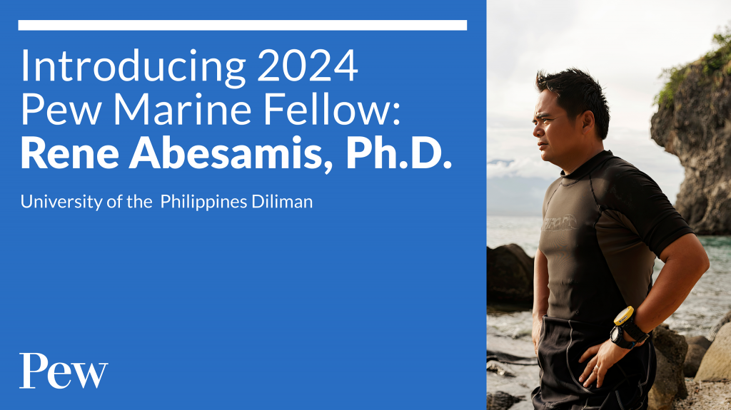 UP MSI’s Rene Abesamis is Granted a Pew Fellowship in Marine Conservation for Work on Coral Reef Protection