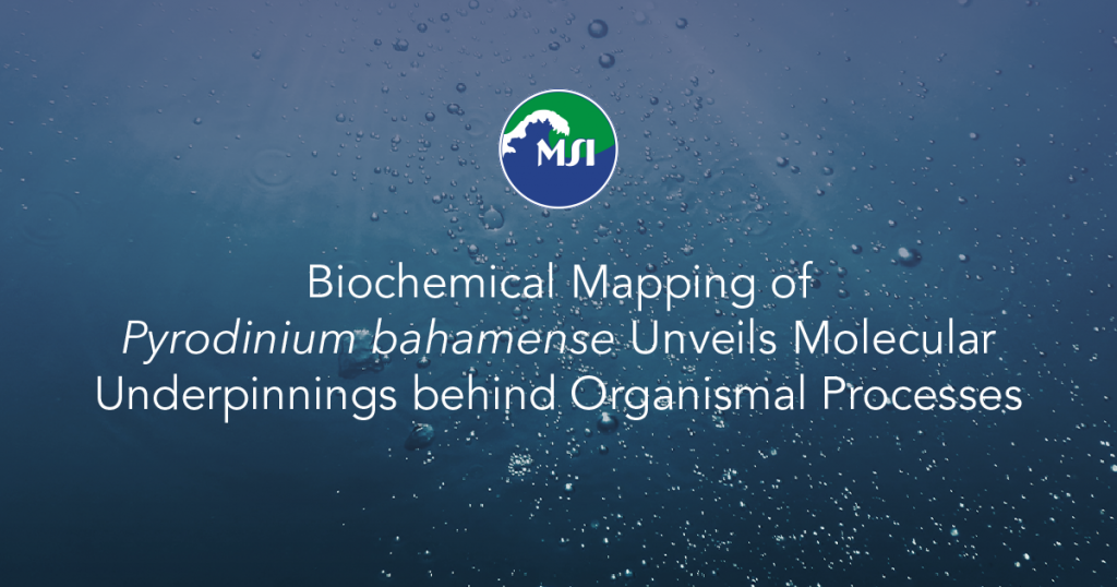 Biochemical Mapping of Pyrodinium bahamense Unveils Molecular Underpinnings behind Organismal Processes
