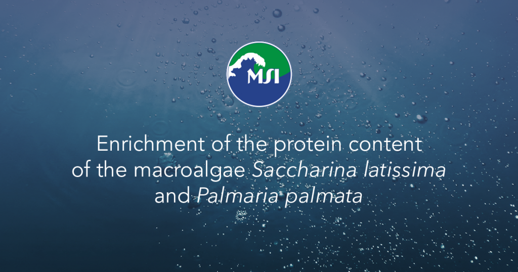Enrichment of the protein content of the macroalgae Saccharina latissima and Palmaria palmata