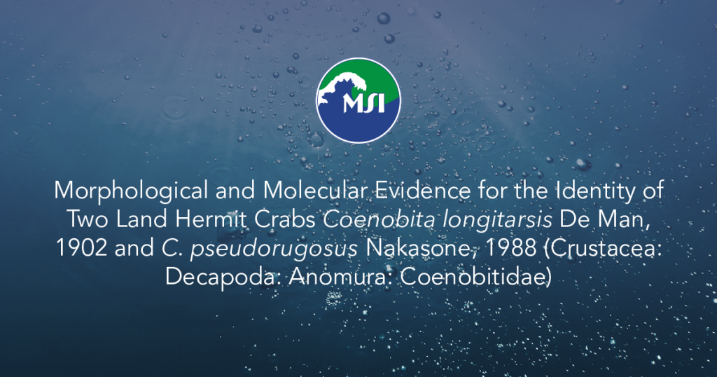 Morphological and Molecular Evidence for the Identity of Two Land Hermit Crabs Coenobita longitarsis De Man, 1902 and C. pseudorugosus Nakasone, 1988 (Crustacea: Decapoda: Anomura: Coenobitidae)