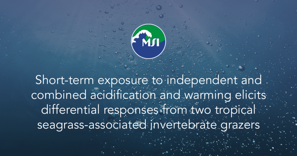 Short-term exposure to independent and combined acidification and warming elicits differential responses from two tropical seagrass-associated invertebrate grazers