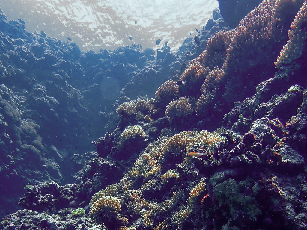 UP, DENR-BMB, and NAVMETOC conduct research at the West Philippine Sea