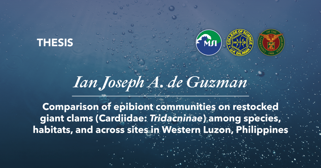 Title: Comparison of epibiont communities on restocked giant clams (Cardiidae: Tridacninae) among species, habitats, and across sites in Western Luzon, Philippines