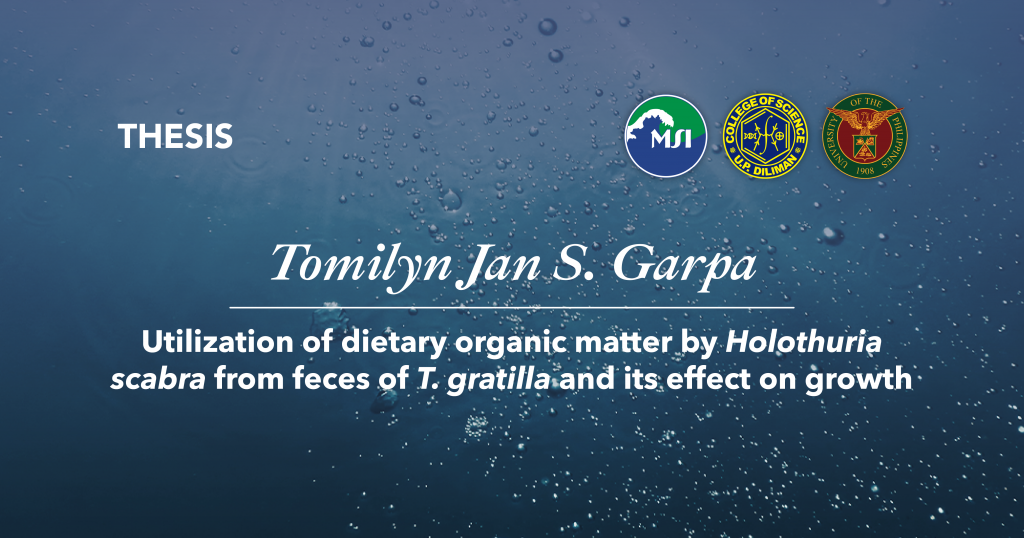 Title: Utilization of dietary organic matter by Holothuria scabra from feces of T. gratilla and its effect on growth