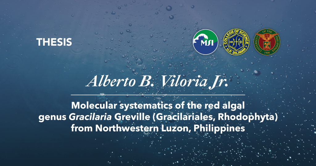 Title: Molecular systematics of the red algal genus Gracilaria Greville (Gracilariales, Rhodophyta) from Northwestern Luzon, Philippines