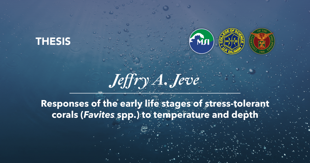 Title: Responses of the early life stages of stress-tolerant corals (Favites spp.) to temperature and depth